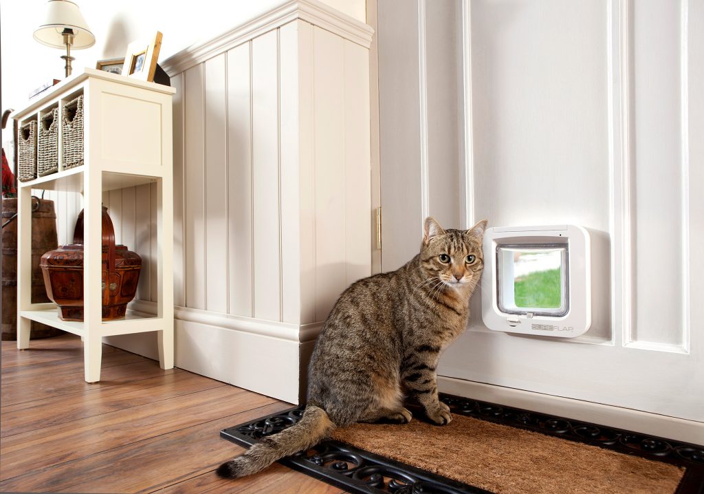 Cat flap hotsell fitting cost